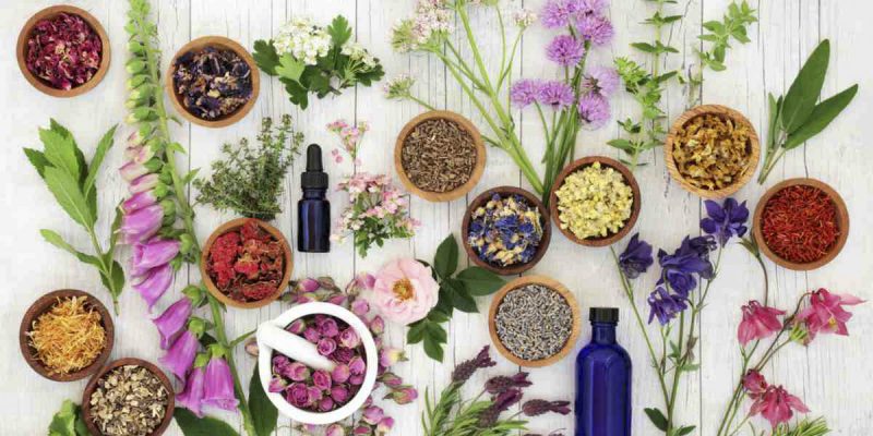 Greek Herbs