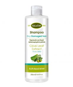 Šampoon kuivadele ja kahjustatud juustele Aaloe Vera ekstraktiga, 250ml