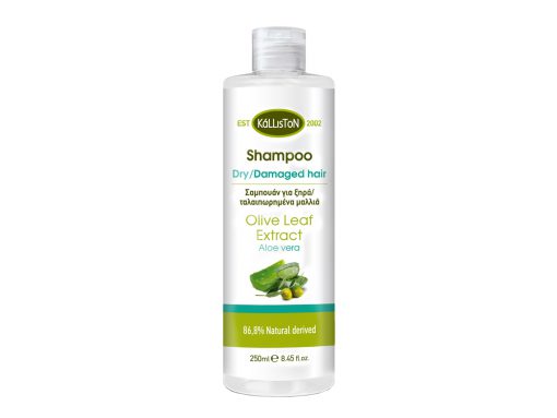 Šampoon kuivadele ja kahjustatud juustele Aaloe Vera ekstraktiga, 250ml